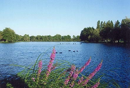 Camping de l'Étang Titard