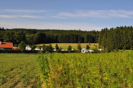 Haarstubencampingplatz Reingers