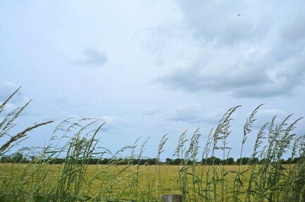 Brynawelon Touring & Camping Park