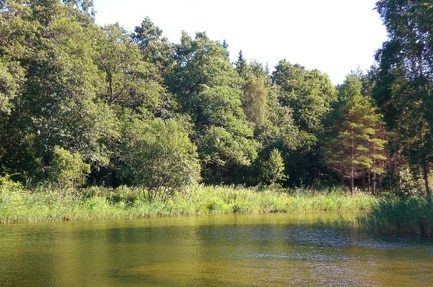 Camping Pidula Puhkeküla