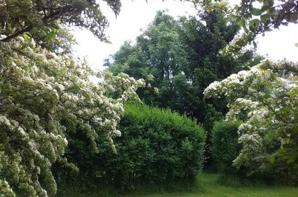 Camping Aux Prés d'Ecouves