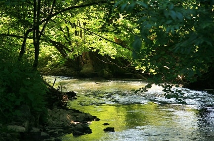 Camping Schwabenmühle GmbH