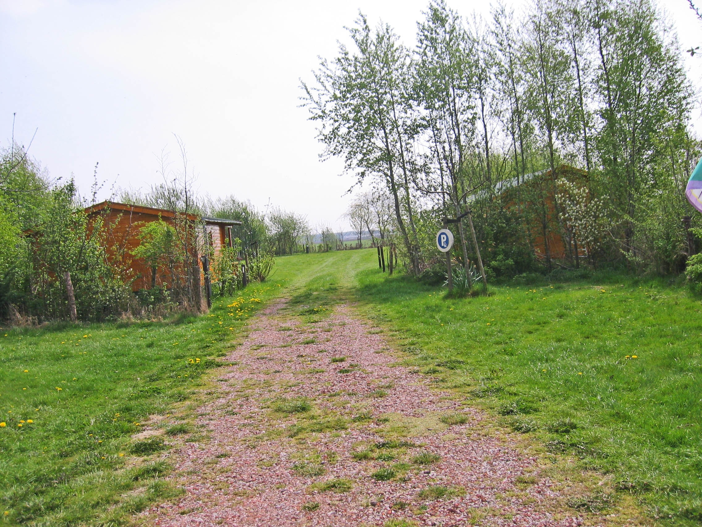 Natuurkampeerterrein Laaghalerveld