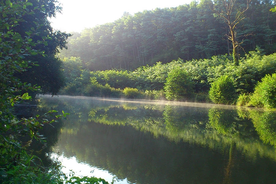 Camping Moulin de la Geneste