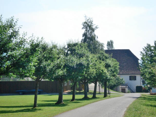 Camping De Belfond