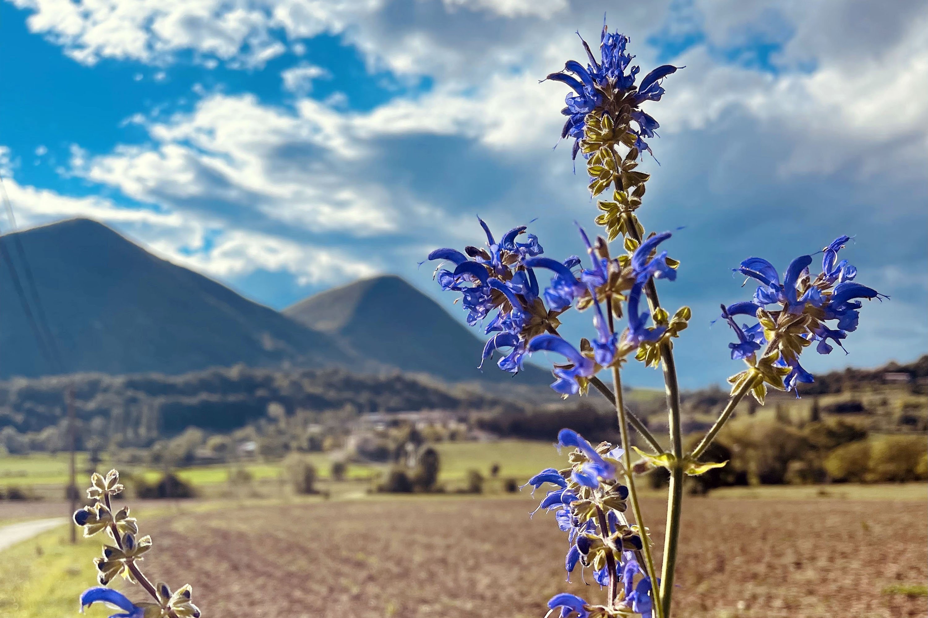 Camping Le Matin Calme