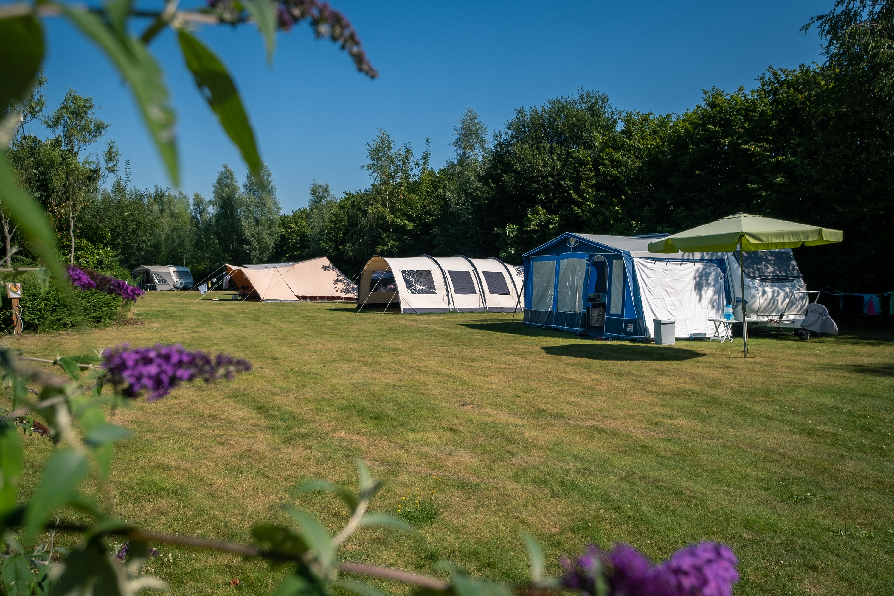 Camping Drentsheerlijk