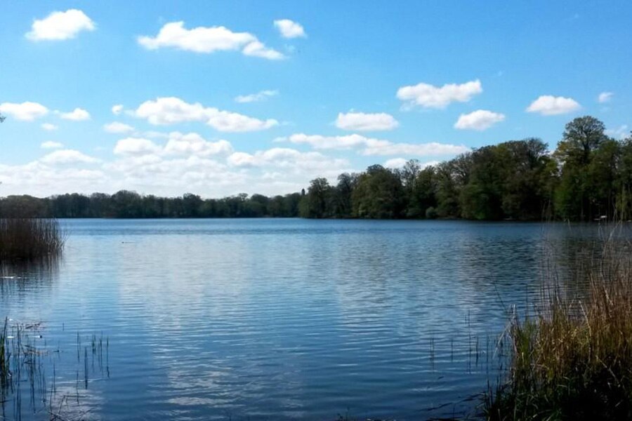 Seecamp am Oderbruch