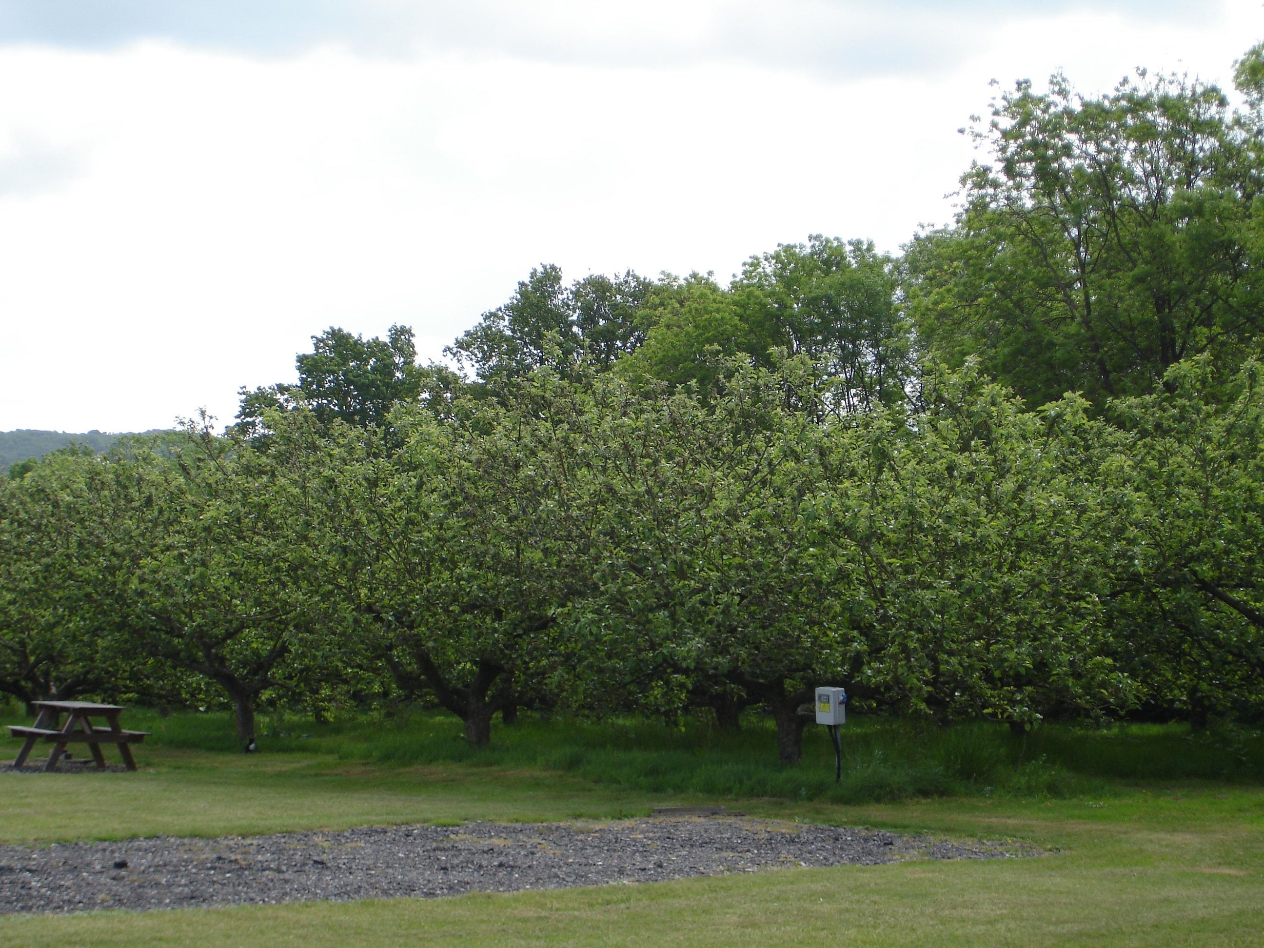 Apple Acres Car. & Camp. Farm