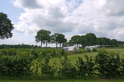 De Heidebloem Recreatie