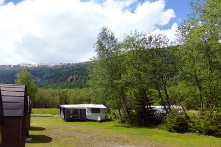 Forest Lodge & Camping