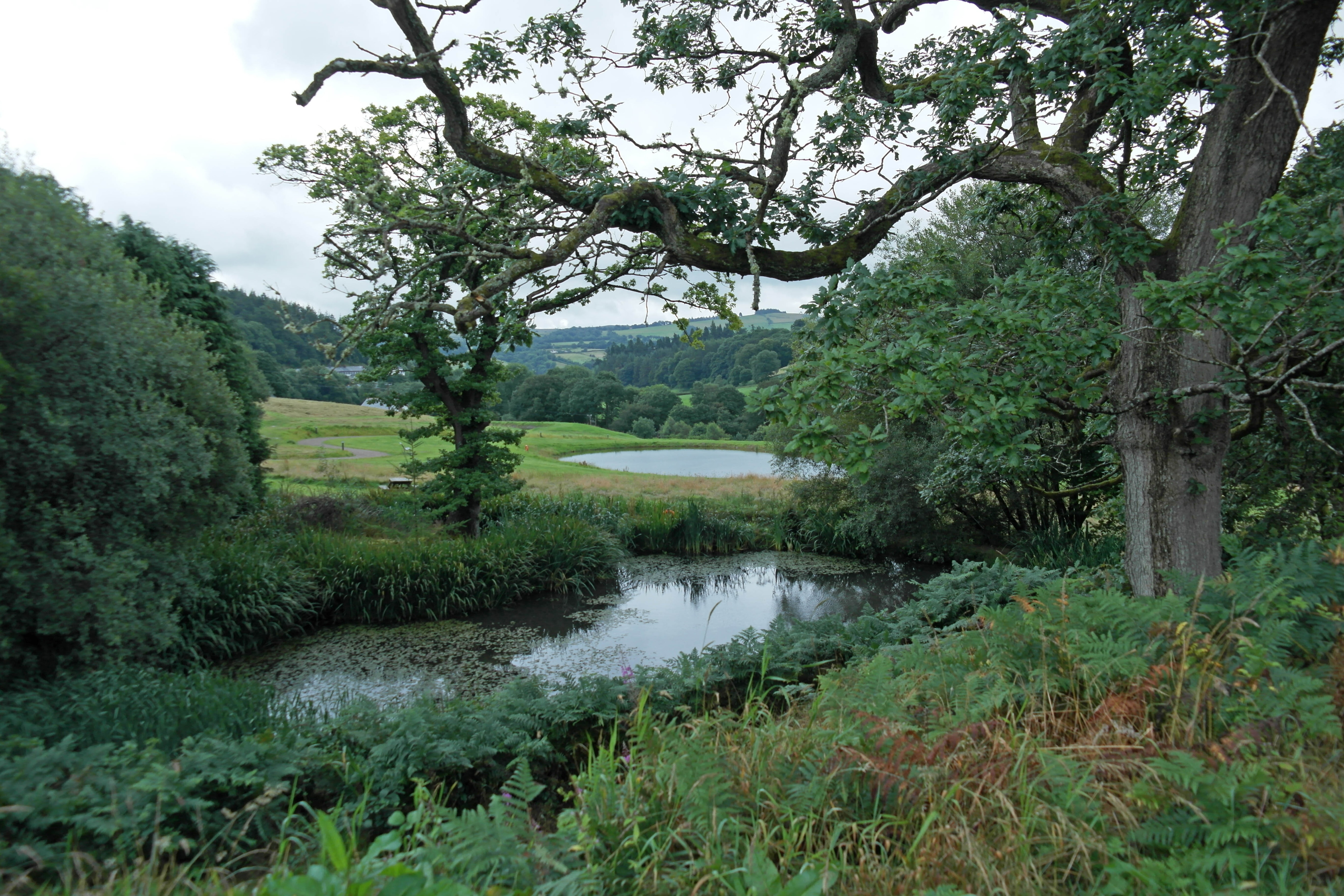 Camping Red Kite Touring Park