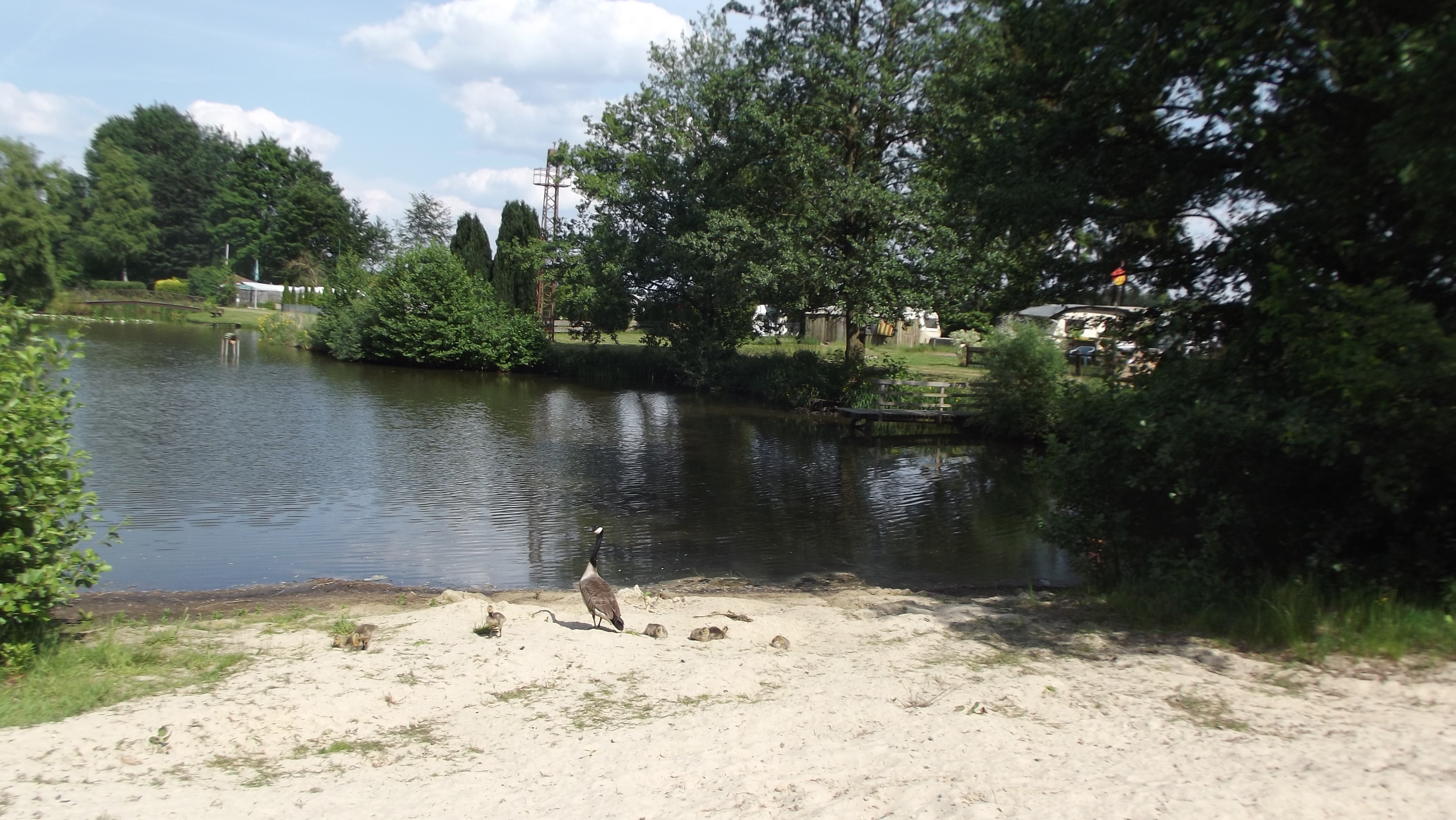 Camping Bruchsee