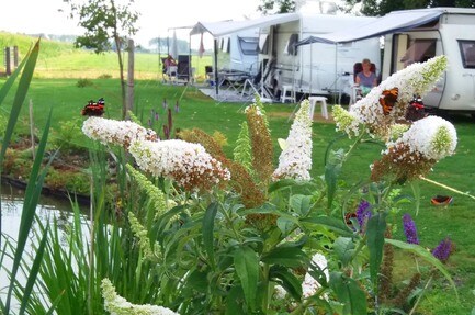 Camping Ter Leede