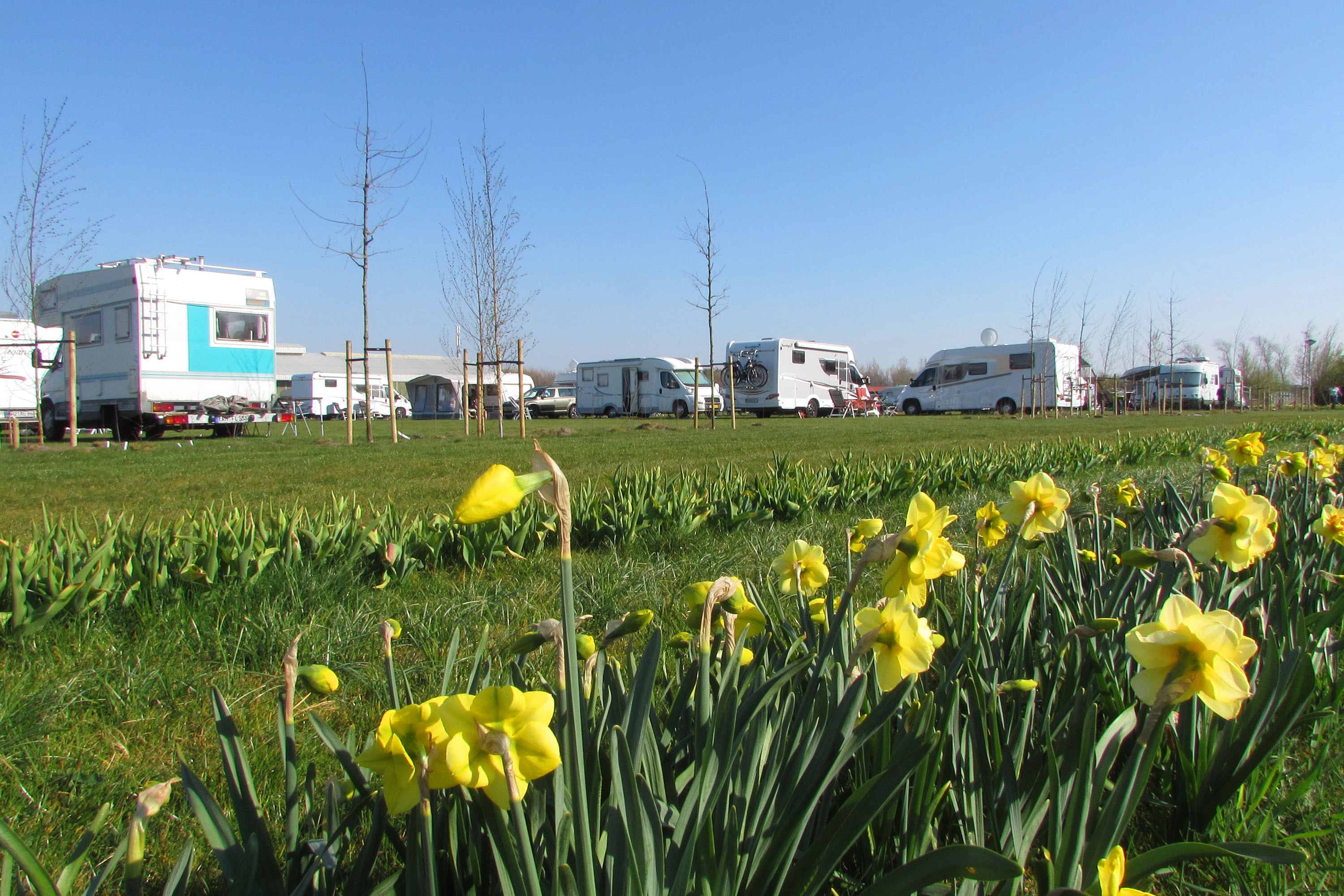 Camping Julianadorp Aan Zee