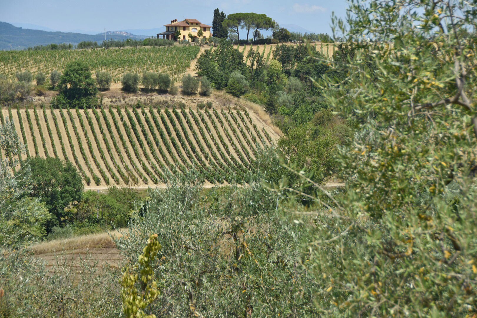 Camping Montaioncino