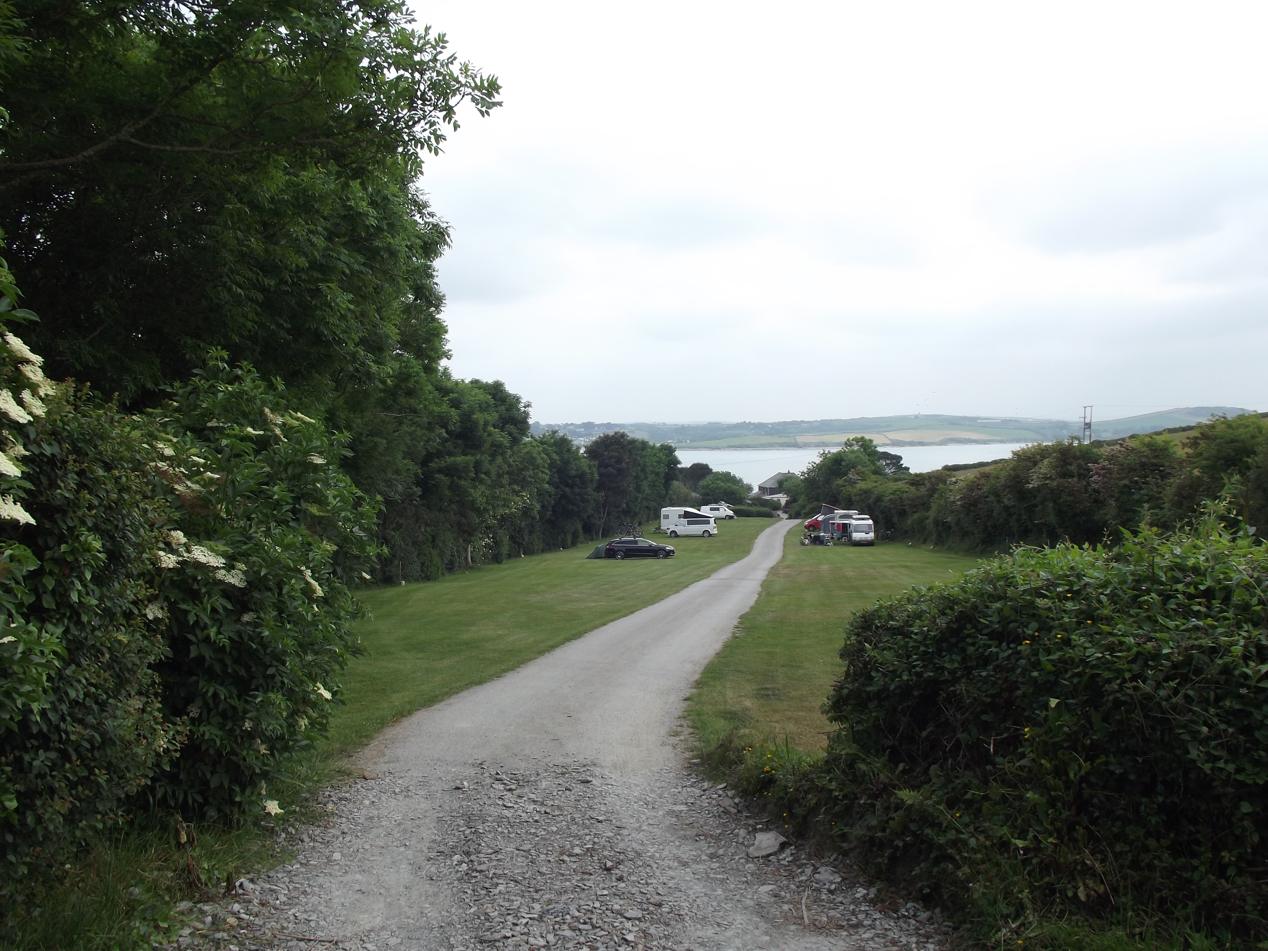 Dennis Cove Campsite