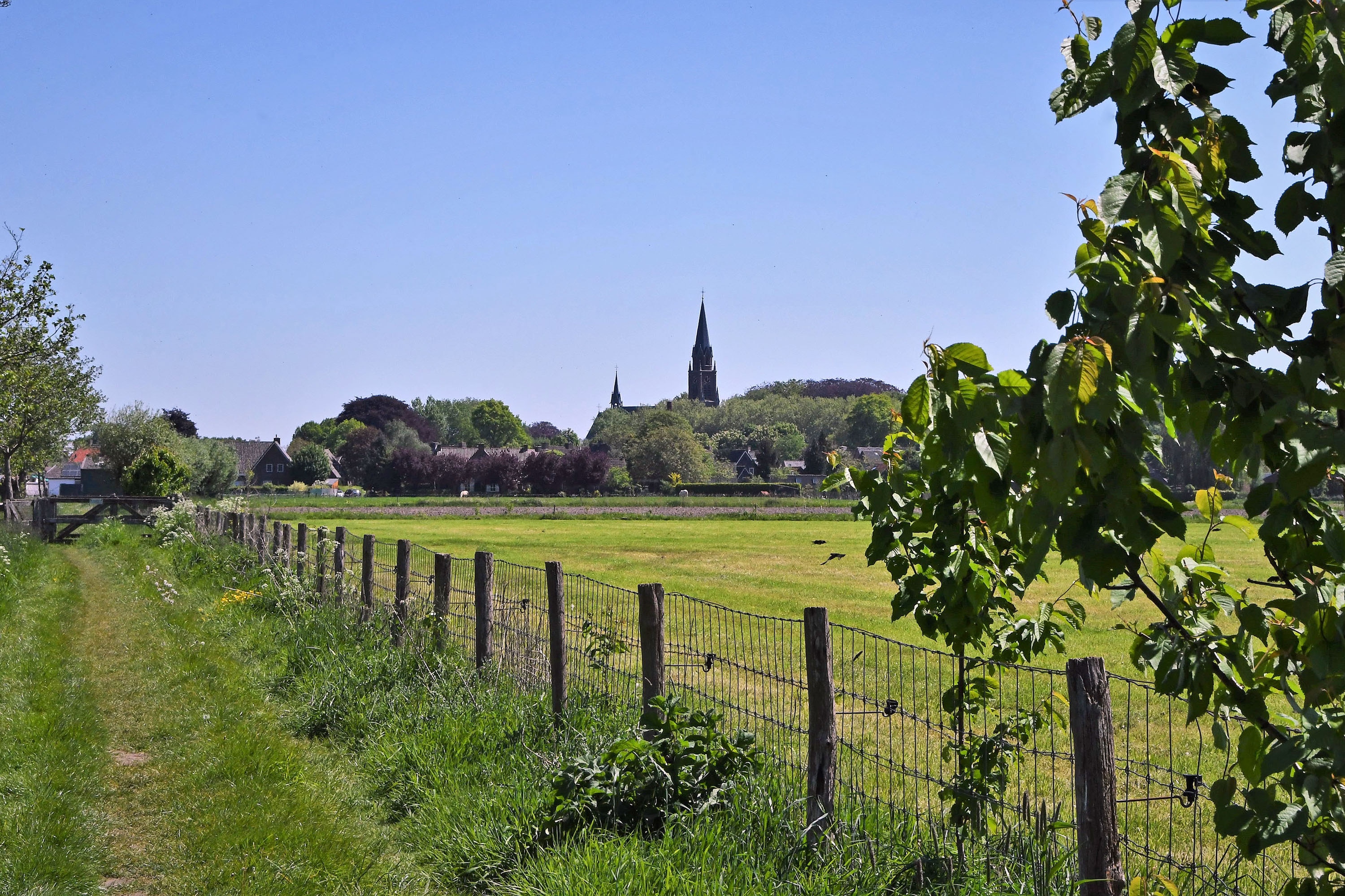 Dorpscamping Gemert