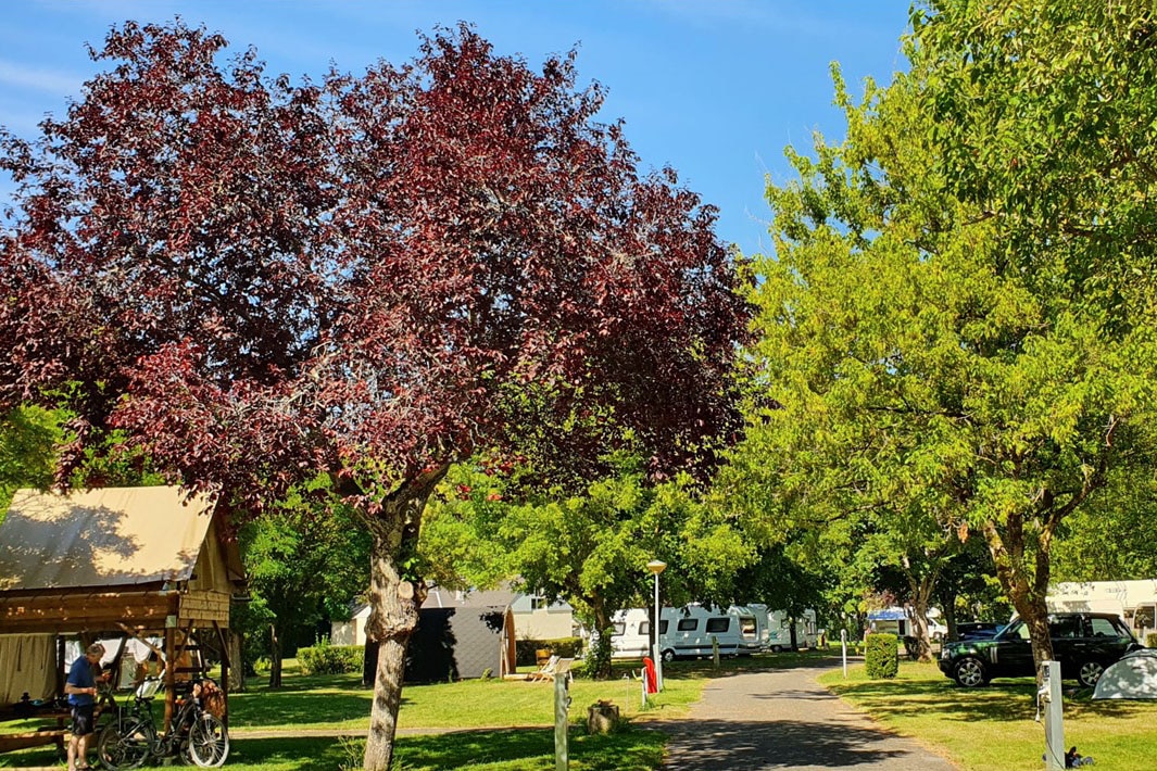 Camping Les Patîs