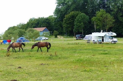 Bernsteinreiter Barth