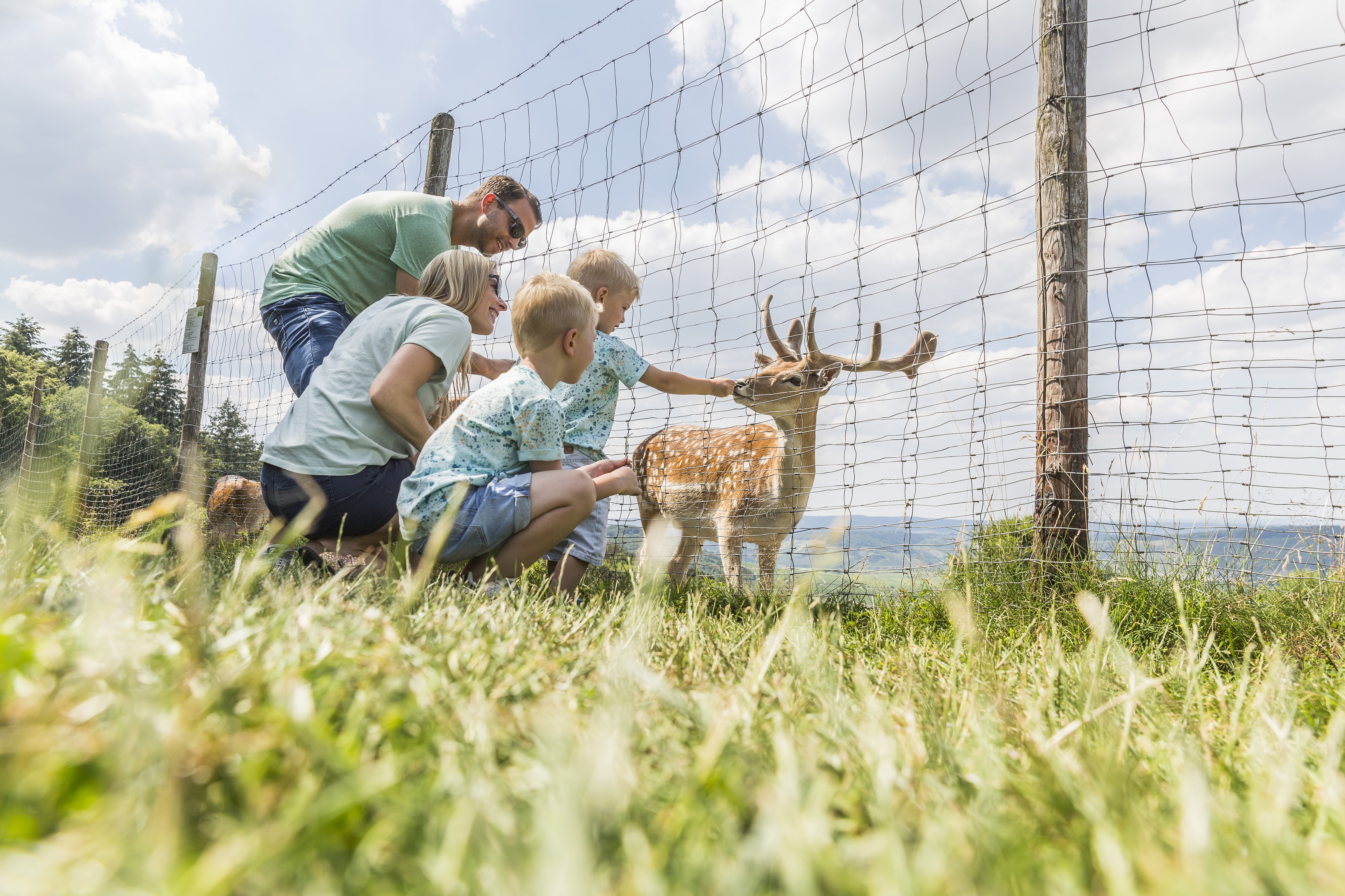 Camping Sonnenberg