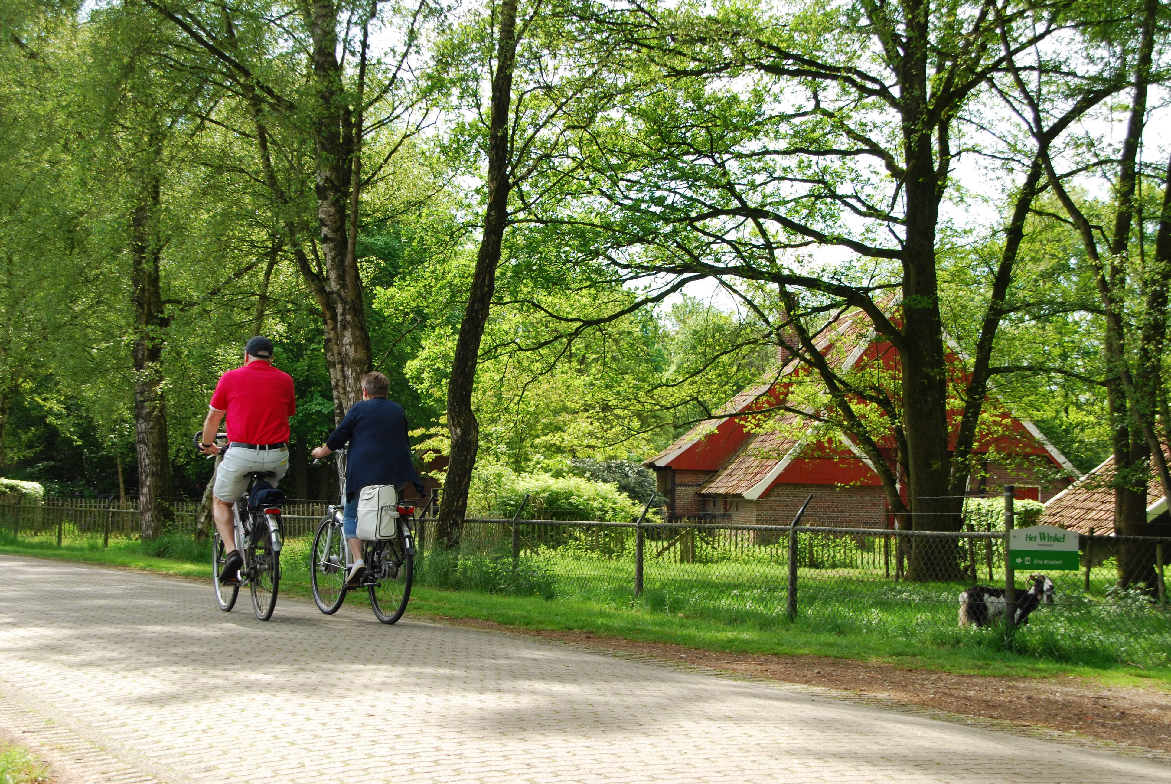 Camping Het Winkel
