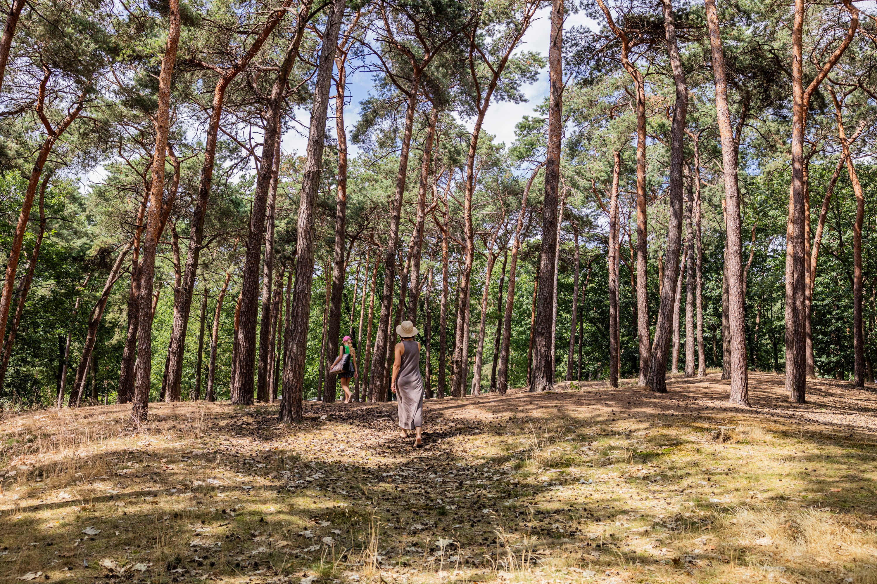 Boscamping 't Wolfsven