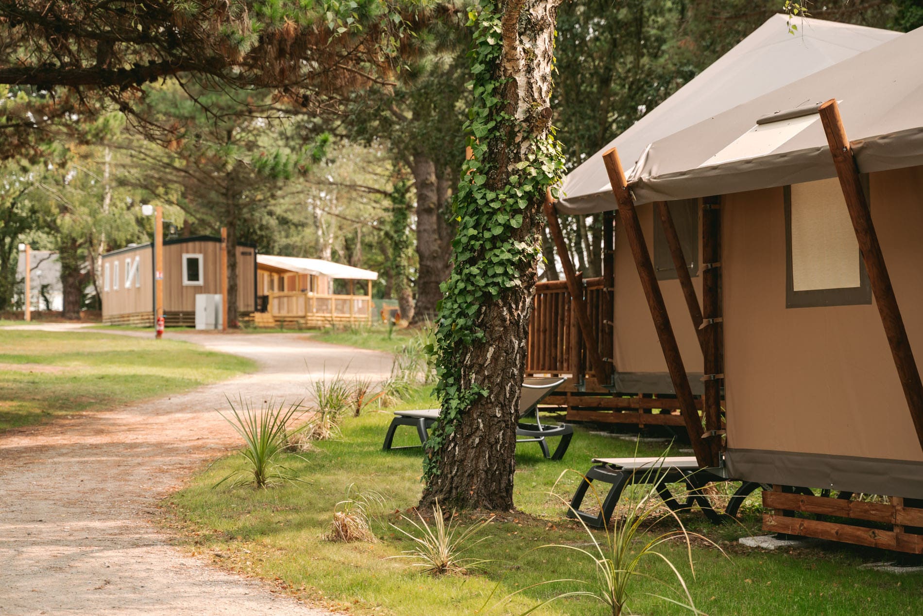 Yelloh! Village Le Parc Sainte Brigitte