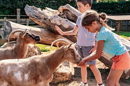 Camping Domaine des Chênes Verts