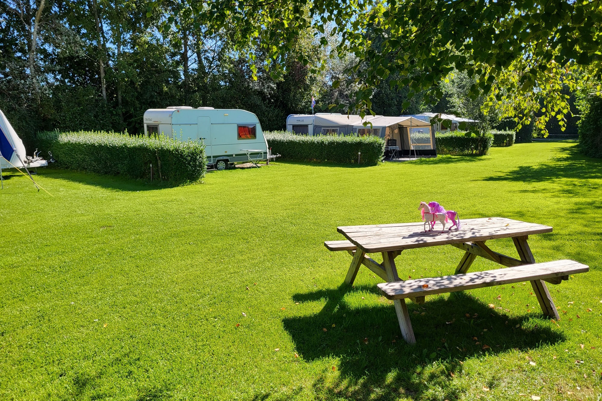 Camping Het Twiskerveld