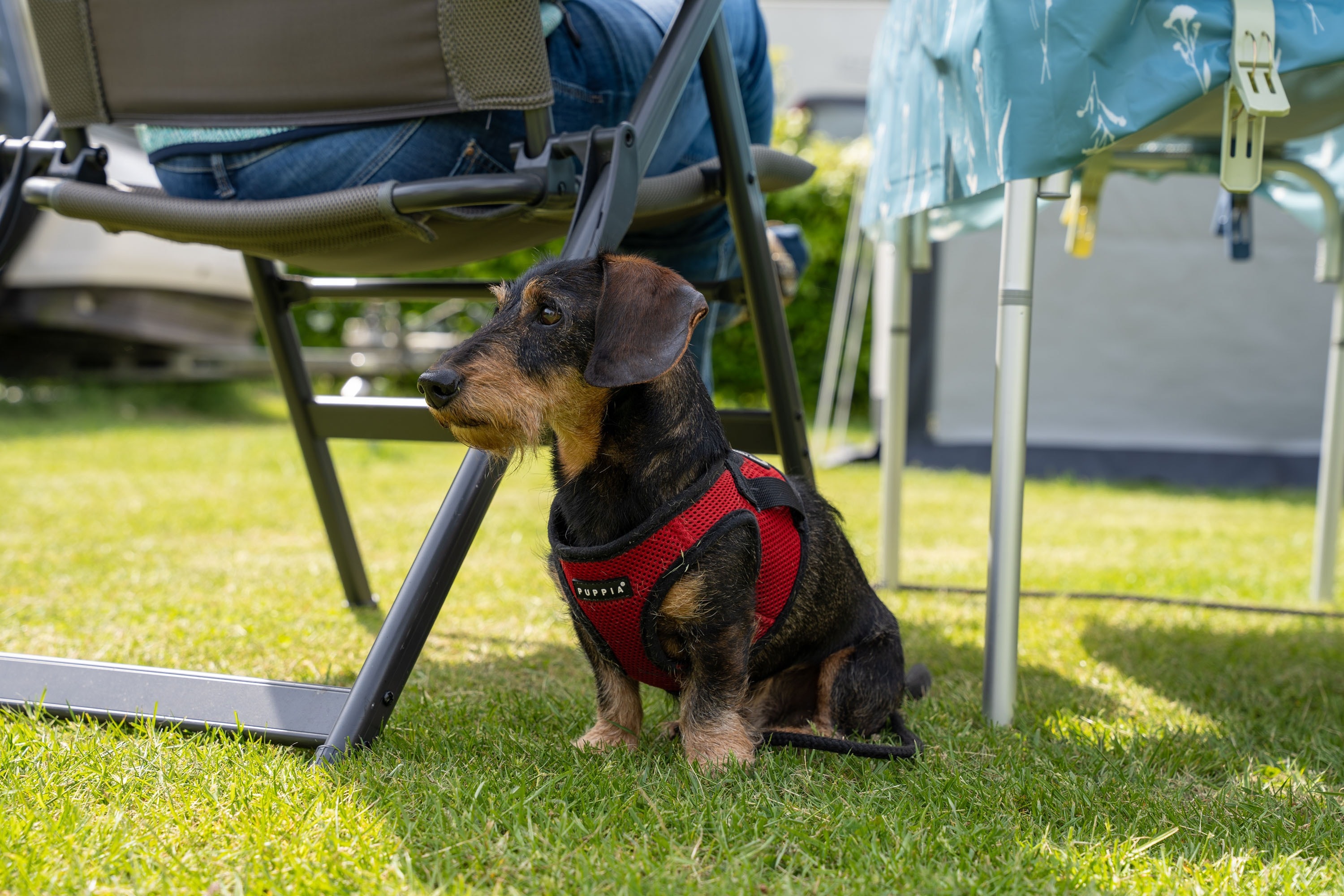 Heidepark Veluwschkarakter