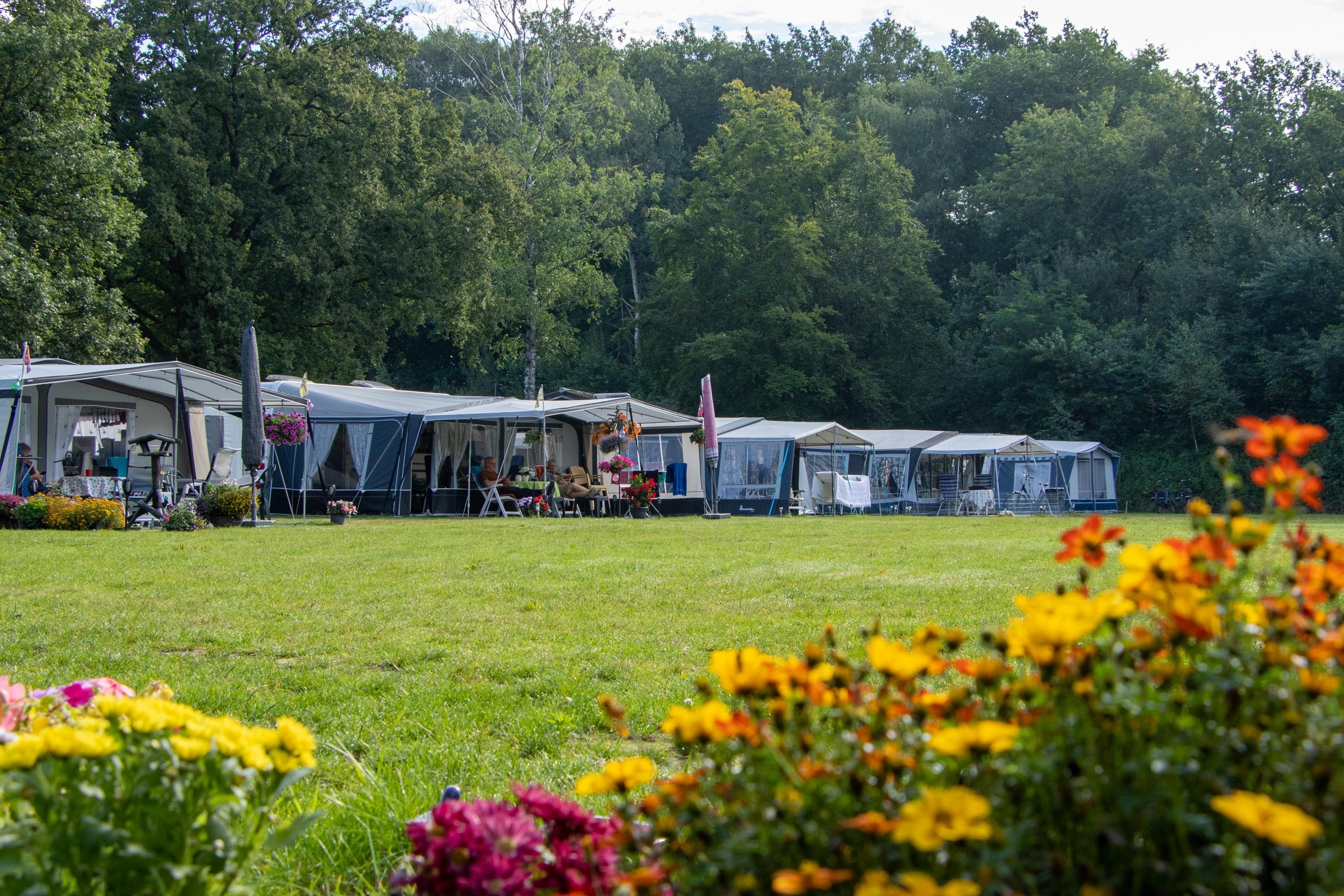 Heidepark Veluwschkarakter