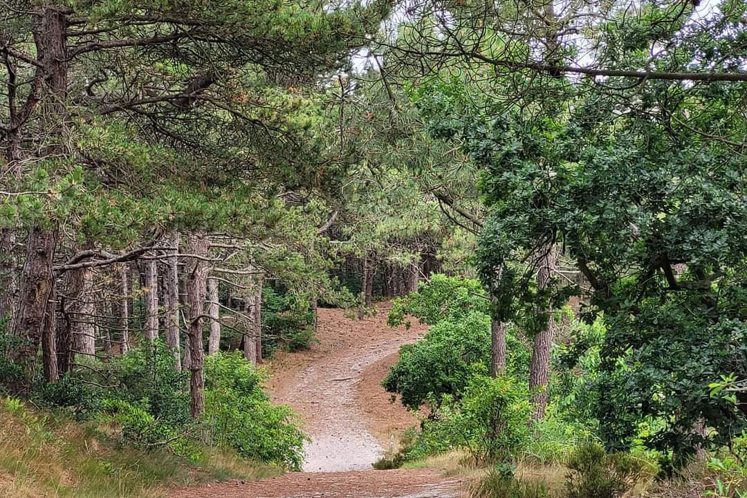 Camping Aan Noordzee