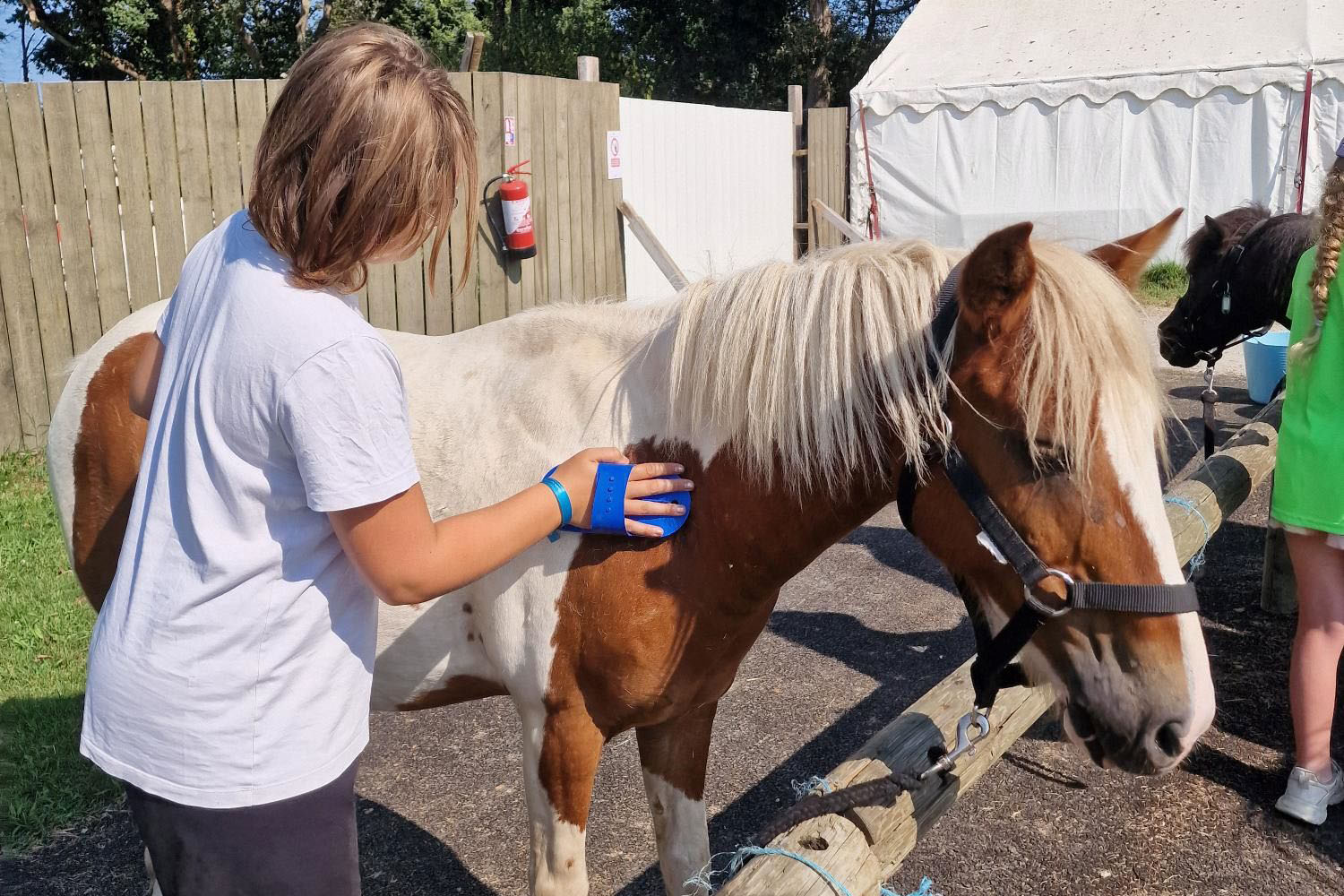 Camping Les P'tites Maisons dans la Prairie