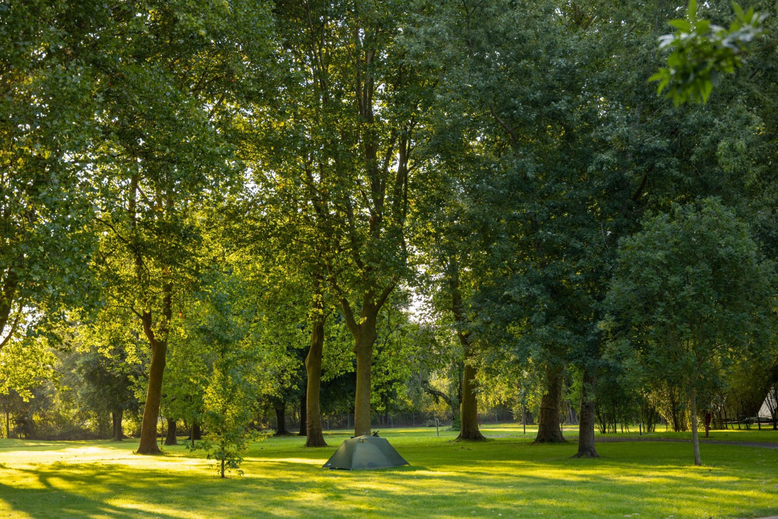 Camping Saintes Grandes Rives