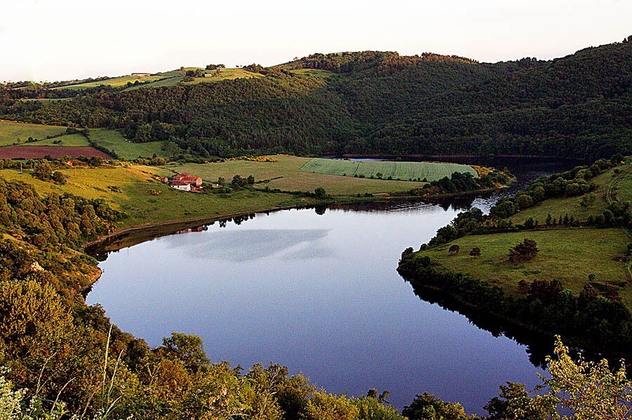 Flower Camping de Mars