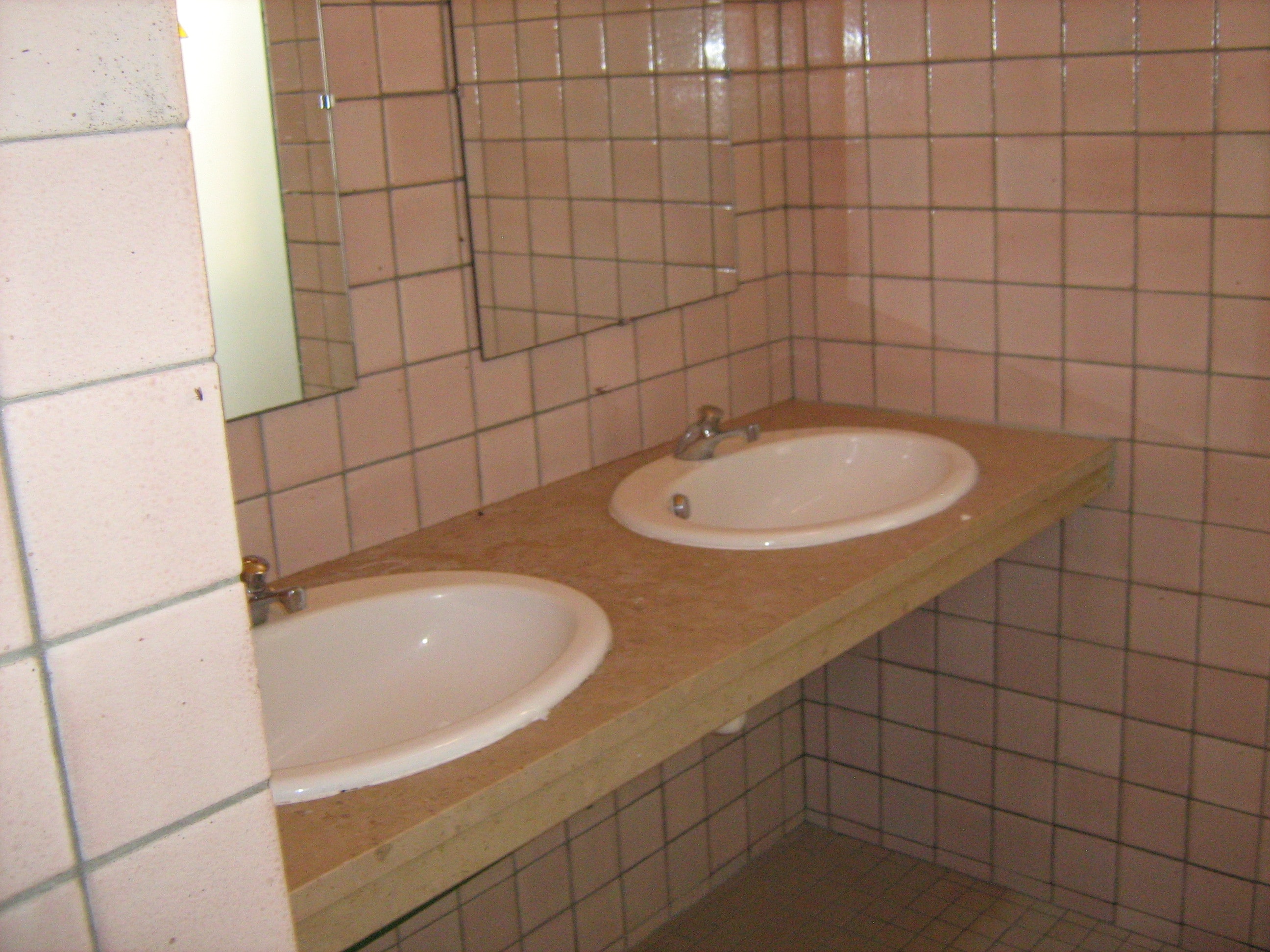 Les Genêts du Morvan