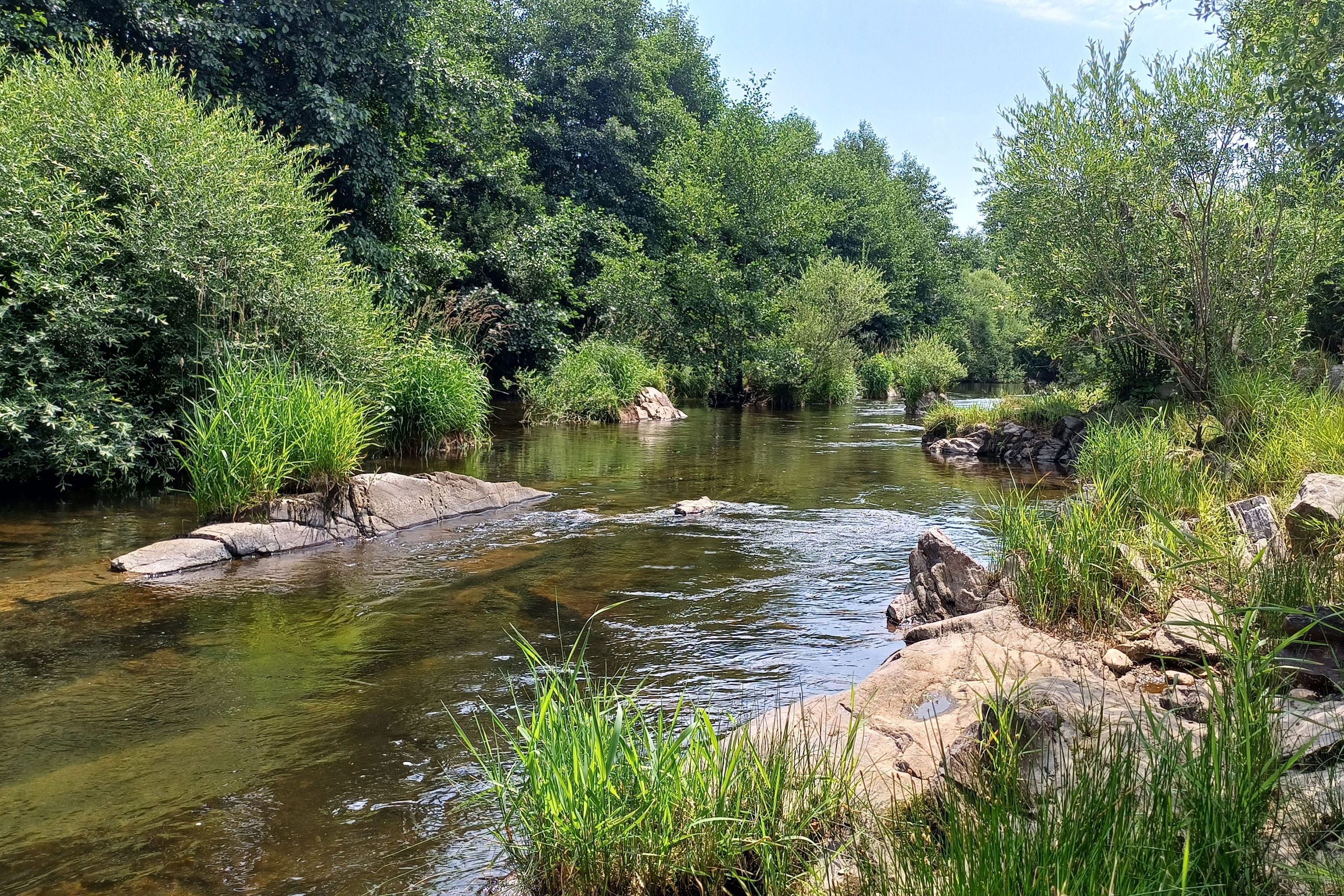 Camping La Cigale de l'Allier