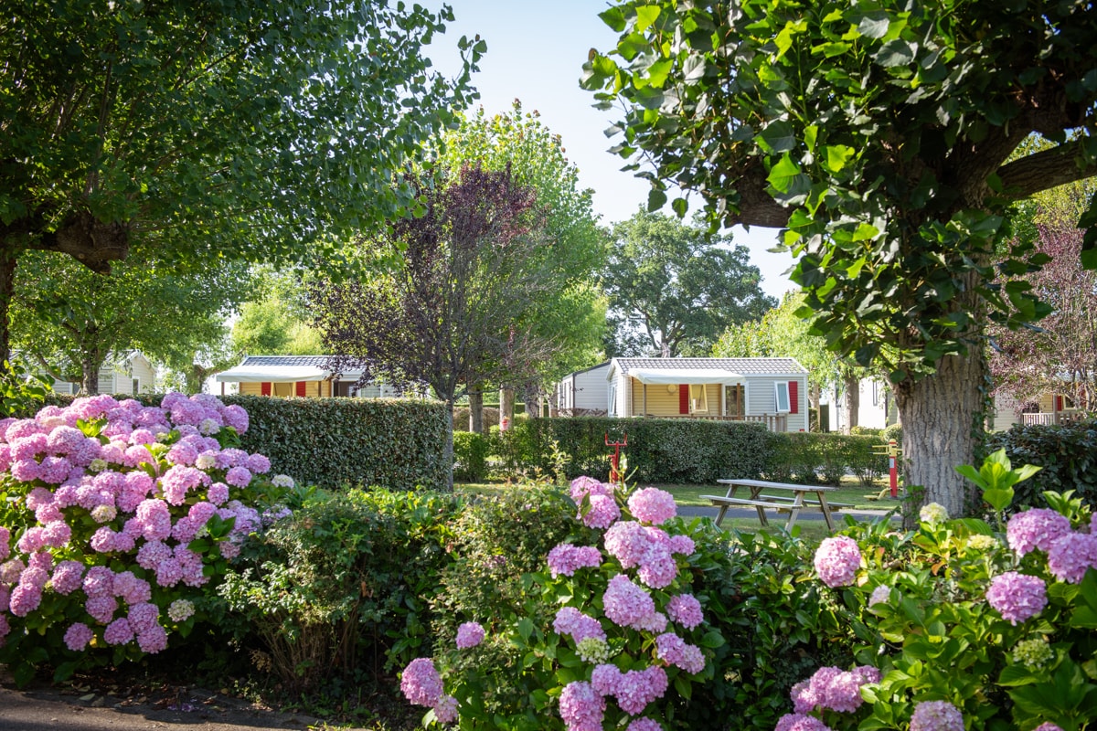 La Ferme des 4 Chênes