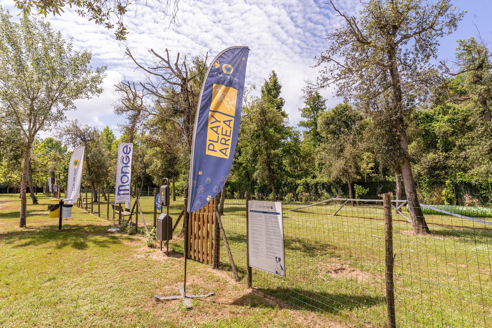 Club del Sole Viareggio Family Collection