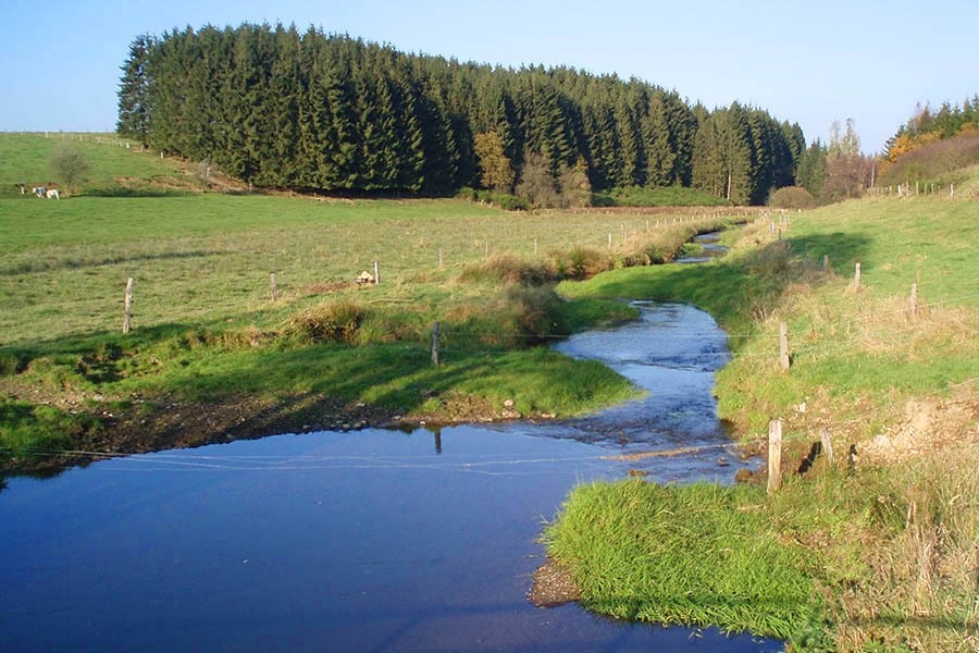 Camping Aux Sources de Lescheret