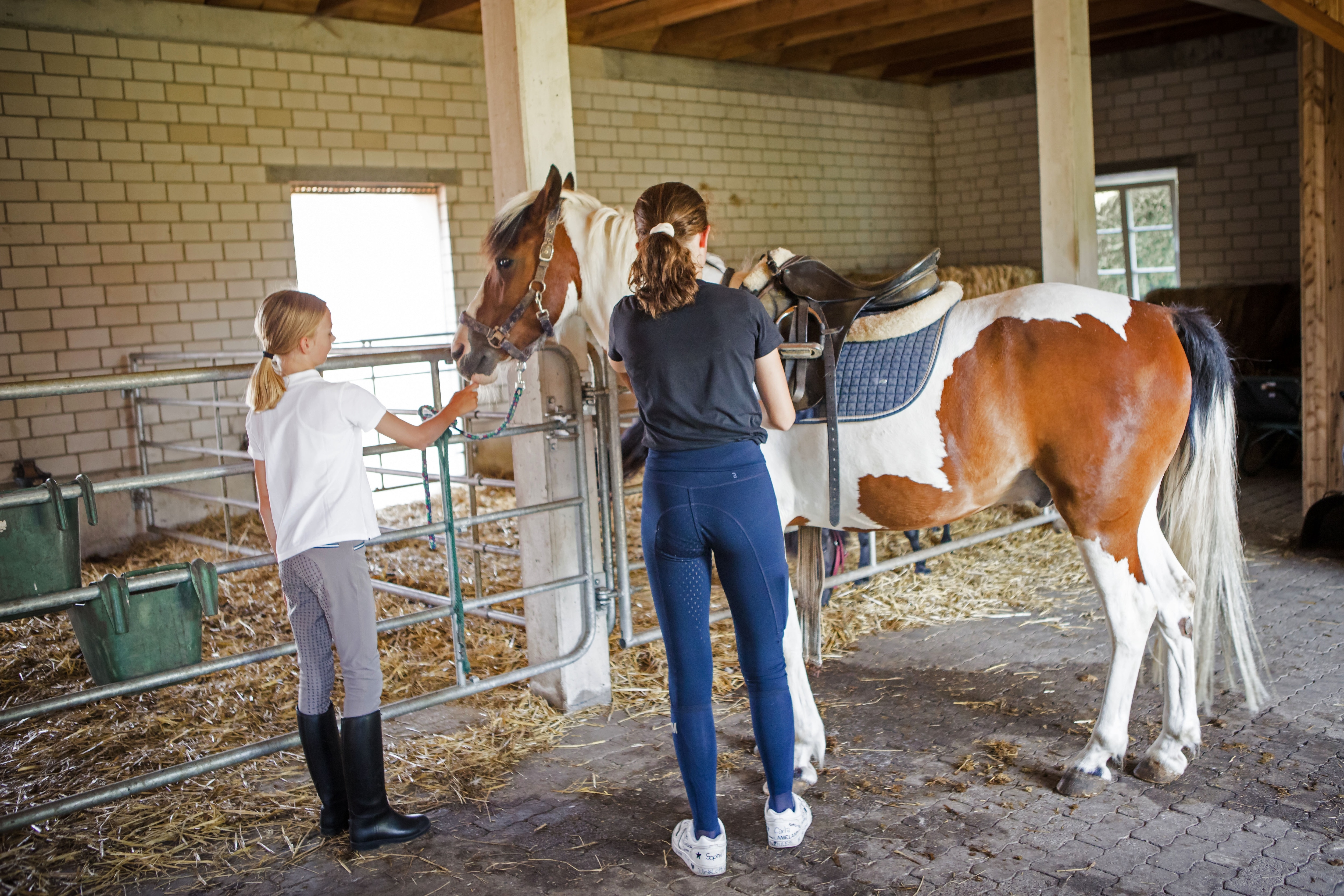 Camping Gutshof Schulze Althoff