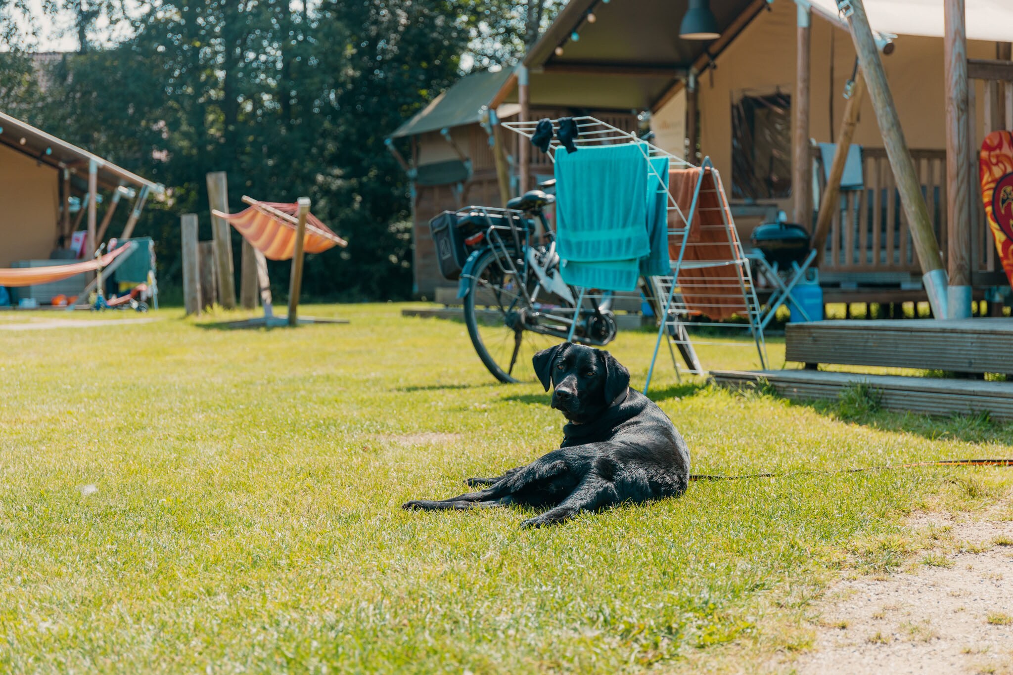 Vakantiepark Sallandshoeve