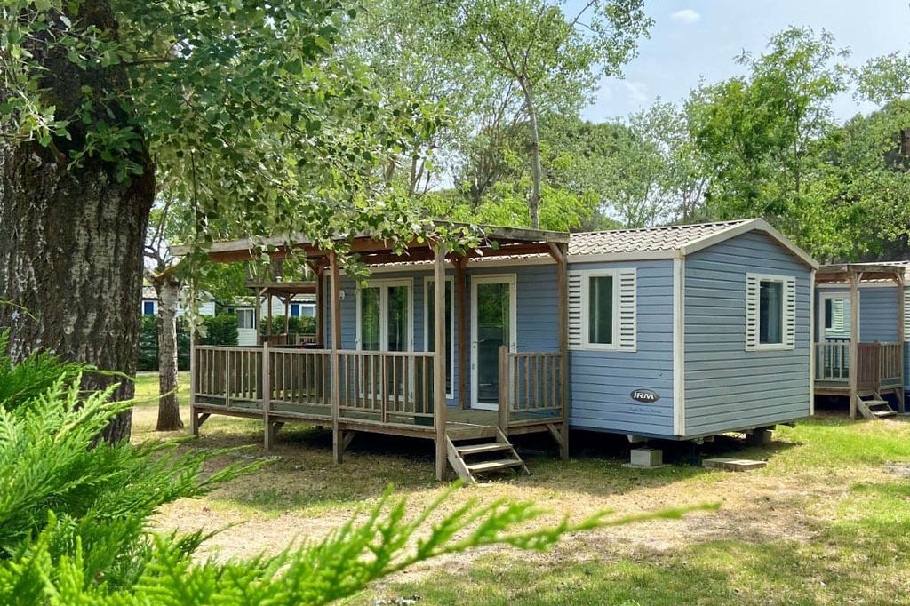 Club del Sole Spina Family Collection