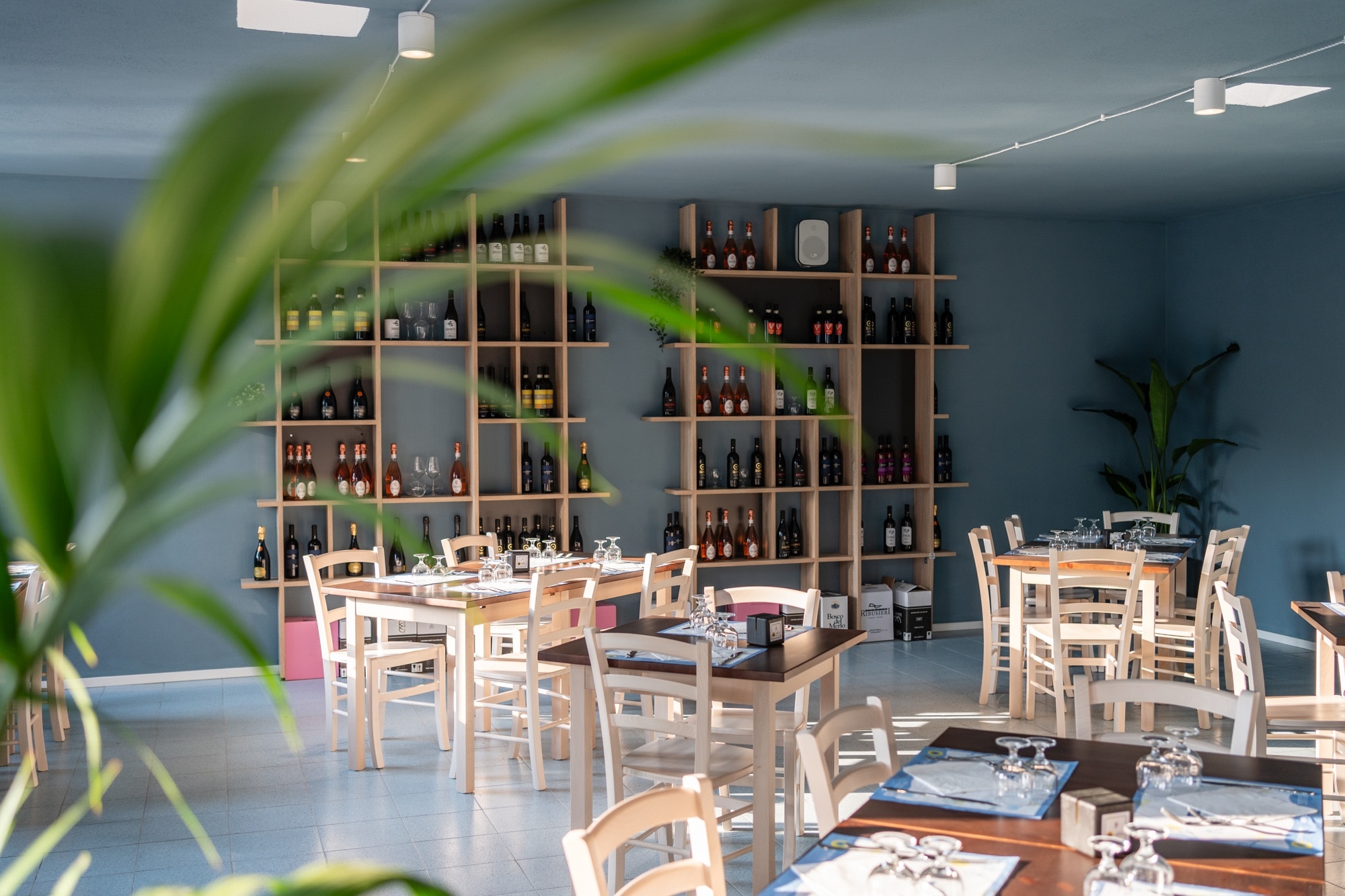 Club del Sole Adriano Family Collection
