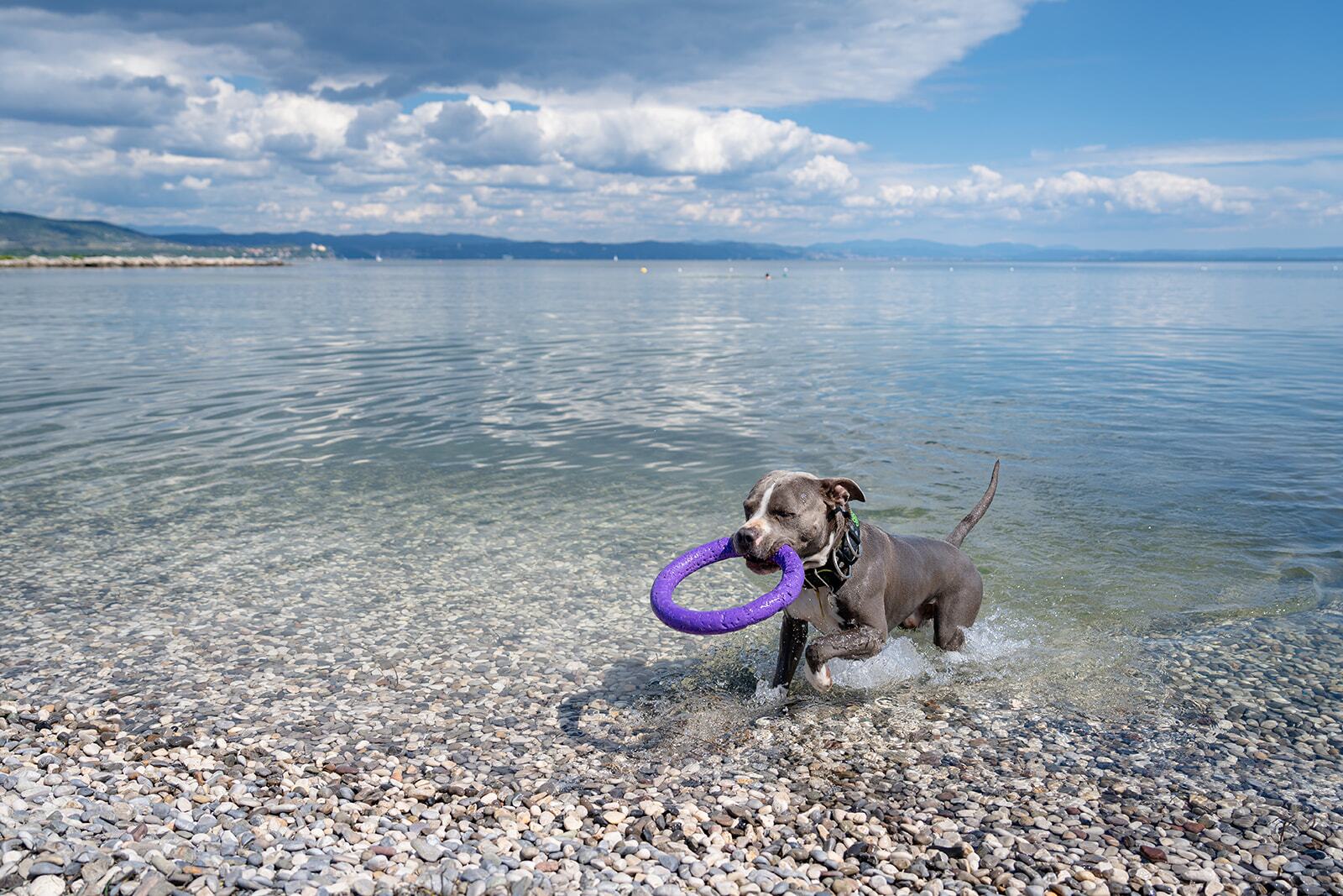 Club del Sole Marina Julia Family Collection