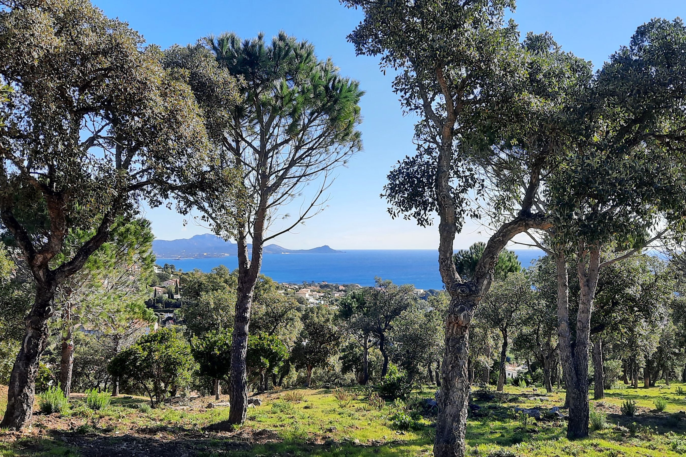 Au Paradis des Campeurs