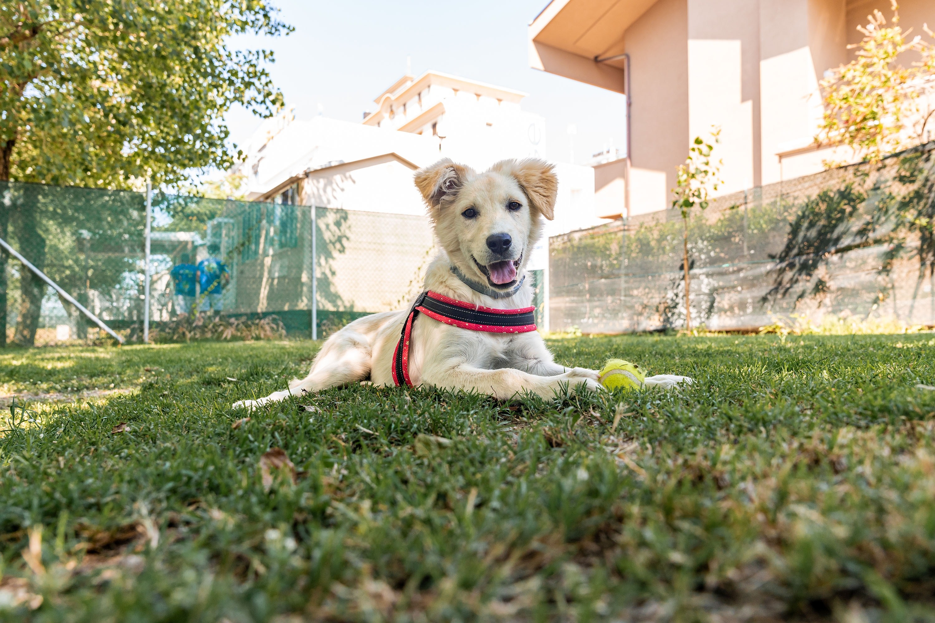 Club del Sole Riccione Easy Camping Village