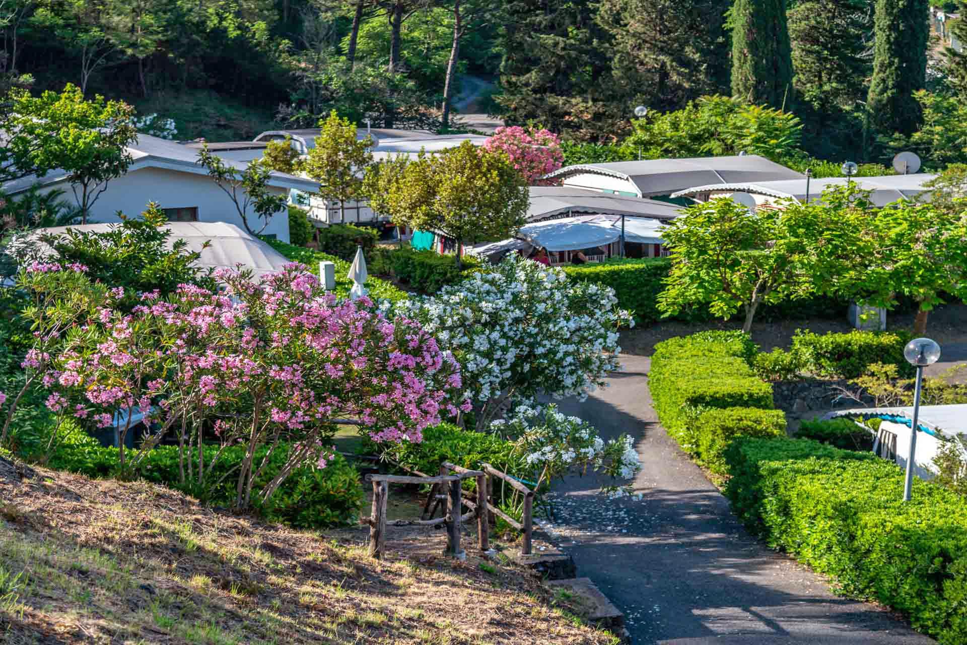 camping Camping Costabella