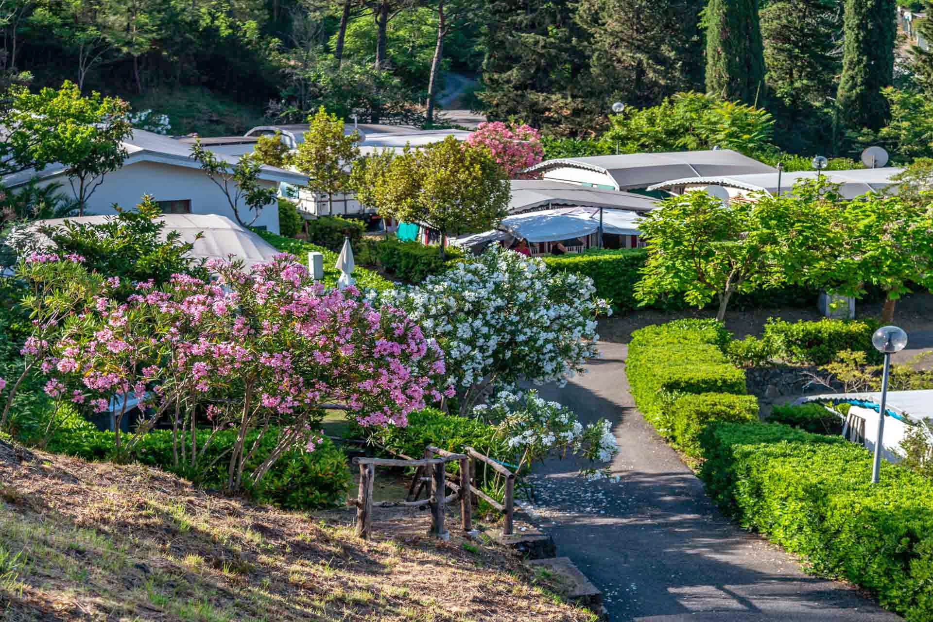 Camping Costabella